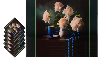 

The Trendy Rectangular Pack of 12 Table Placemat(Multicolor, PVC)
