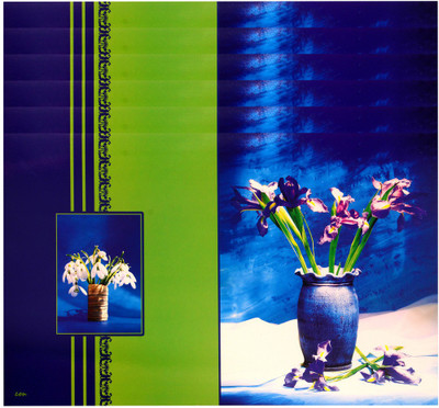 

The Trendy Rectangular Pack of 6 Table Placemat(Multicolor, PVC)