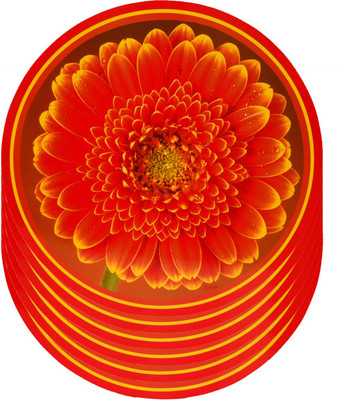 

The Trendy Round Pack of 6 Table Placemat(Multicolor, PVC)