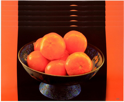 

The Trendy Rectangular Pack of 6 Table Placemat(Multicolor, PVC)