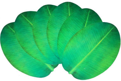 

E-Retailer Oval Pack of 6 Table Placemat(Green, PVC)