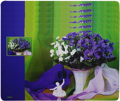 

The Trendy Rectangular Pack of 6 Table Placemat(Multicolor, PVC)