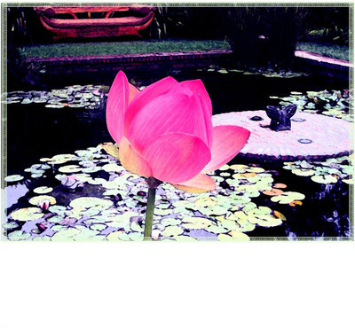 

Leaf Designs Rectangular Pack of 6 Table Placemat(Multicolor, Cotton)