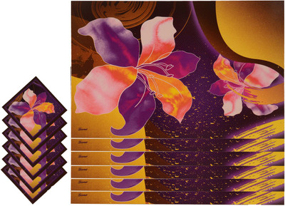 

The Trendy Rectangular Pack of 12 Table Placemat(Multicolor, PVC)
