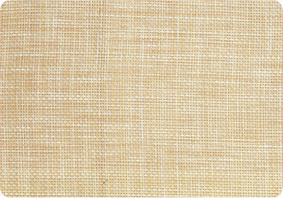 

Freelance Rectangular Pack of 6 Table Placemat(Multicolor, PVC, Polyester)
