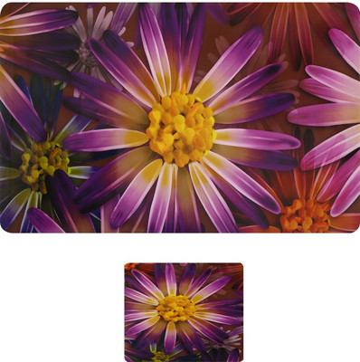 

E-Retailer Rectangular Pack of 6 Table Placemat(Purple, PVC)