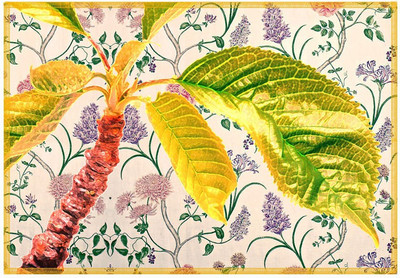 

Leaf Designs Rectangular Pack of 6 Table Placemat(Multicolor, Cotton)