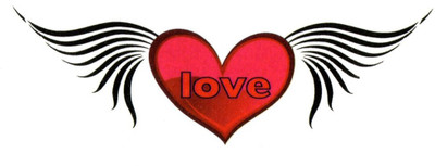 Smilendeal T2190 Wings Temp Body Tattoo - Multi(Wings)