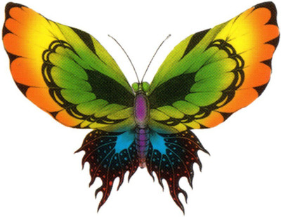 Smilendeal T2101 Butterfly Temp Body Tattoo - Multi(Butterfly)