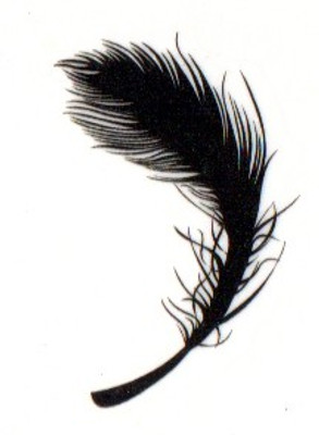 

Smilendeal T1503 Removeable Temp Body Tattoo - Feather Style(Feather)