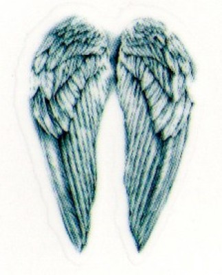 Flipkart - Smilendeal T1706 Removeable Temp Body Tattoo – Wings Style(Wings)