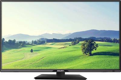 Salora 80cm (31.5) HD Ready LED TV
