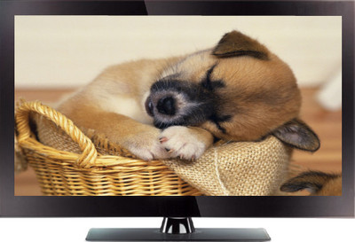 

Videocon (32 inch) Full HD LED TV(VJB32PG-B0A)