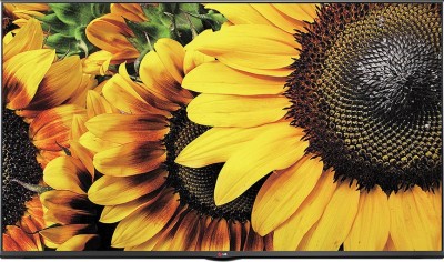 LG 80cm (32 inch) HD Ready LED TV(32LF505A)