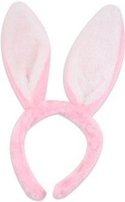 

Funcart Crown(Pink, Pack of 1)