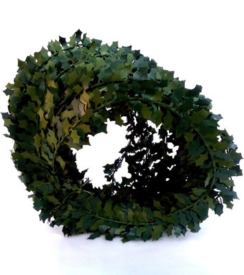 

Vardhman Tiara(Green, Pack of 7)