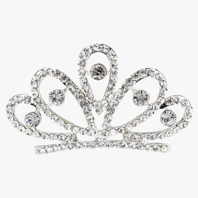 Pink Rose Crown(White, Pack of 1)