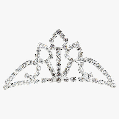 

Pink Rose Crown(White, Pack of 1)