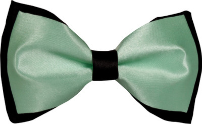 

CorpWed Sea Green Grace Solid Men's Tie