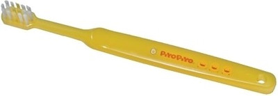 

Piyo Piyo Toothbrush Toothbrush