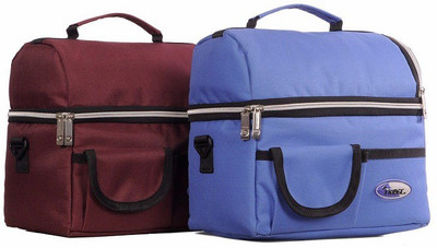 

Kallpvraksh INSULATED CAR BAG(Maroon, Blue), Blue;maroon