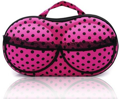 

Foolzy Bra Bag Travel Organizer(Multicolor)