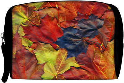 

Snoogg Cosmetic Pouch(Multicolor), Multcolor