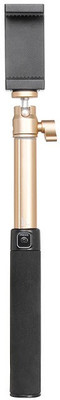 

Hoco Cph04-Gold Monopod(Gold, Supports Up to 350 g)