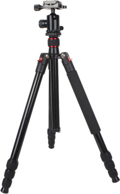 

Digitek DTR 495 BH Tripod(Black, Supports Up to 7000 g)