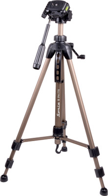 

SONIA PH 770(Gold, Supports Up to 3500 g)