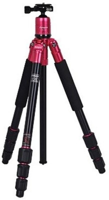 

Fotopro C4i+53P Red(Red, Supports Up to 8000 g)