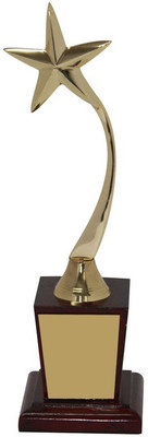 

Frontfoot Sports FTK Star Award 17 (30 cm) Trophy(30 cm)