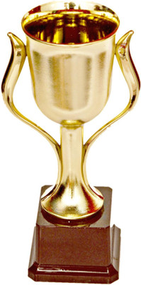 

Homeshopeez Big Premium Cup Trophy(8.5 Inches)