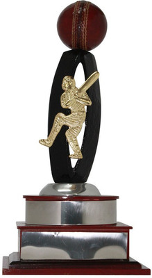 

Frontfoot Sports FTK Cricket 34 (42.5 cm) Trophy(42.5 cm)