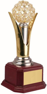 

Frontfoot Sports FTK Diamond Award 100 A (30 cm) Trophy(30)