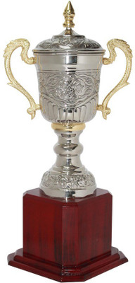 

Frontfoot Sports FTK Premium Cup 79 C (97.5 cm) Trophy(97.5 cm)