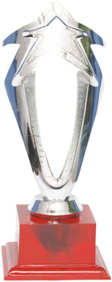 

Homeshopeez Silver Star Trophy(9.5 Inches)