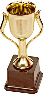 

Homeshopeez Small Premium Cup Trophy(7.4 Inches)