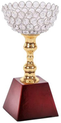 

Frontfoot Sports FTK Diamond Cup 88 A (23.75 cm) Trophy(23.75 cm)