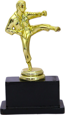 

Trophy Emporium 3D Golden Judo Trophy Trophy(M)