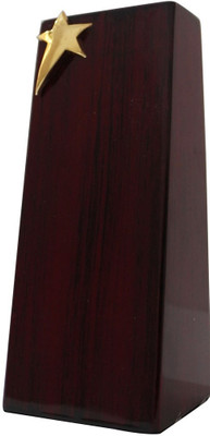 

Frontfoot Sports FTK Wooden Star 399 (19 cm) Trophy(19)