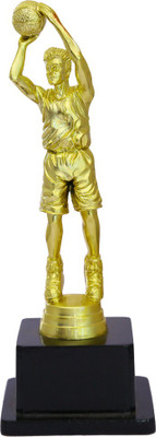 

Trophy Emporium 3D Golden Basketball Trophy Trophy(M)