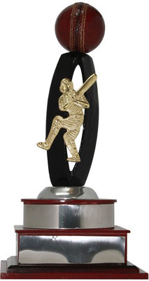 

Frontfoot Sports FTK Cricket 34 S (38.5 cm) Trophy(38.5 cm)