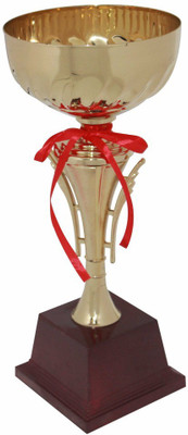 

Frontfoot Sports FTY911 - A (39.5 cm) Trophy(39.5)