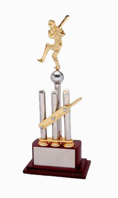 

Frontfoot Sports FTK Premium Cricket Award 51 - A (38.75 cm) Trophy(38.75 cm)