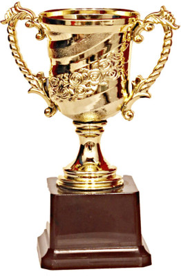 

Homeshopeez Winner Trophy(7 Inches)