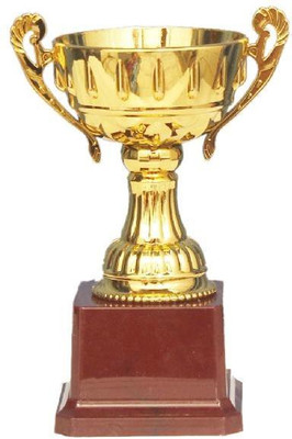 

Homeshopeez Six Inches -TH-80-260 Trophy(6)