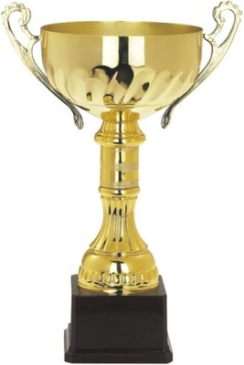 

Frontfoot Sports FTY914 - B Trophy(32 cm)