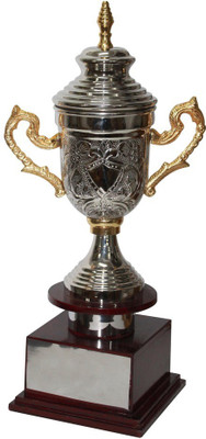 

Frontfoot Sports FTK Premium Cup 78 B (52.5 cm) Trophy(52.5 cm)