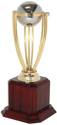 

Frontfoot Sports FTK Cricket World Cup 19 (30 cm) Trophy(30 cm)